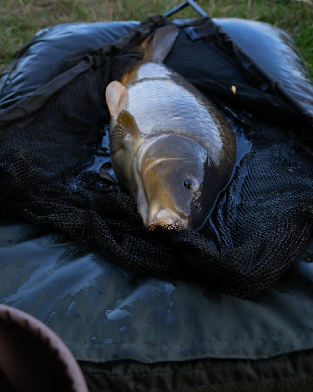 "Sommervibes am Parksee"