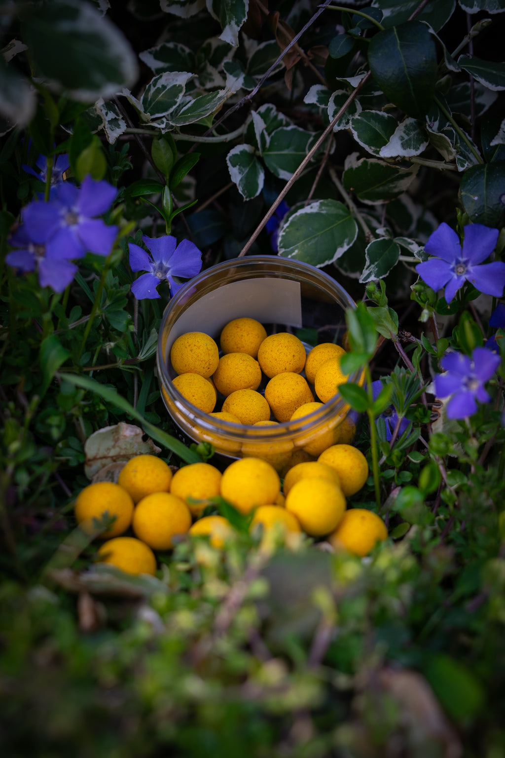 Yellow Banana Pop Ups