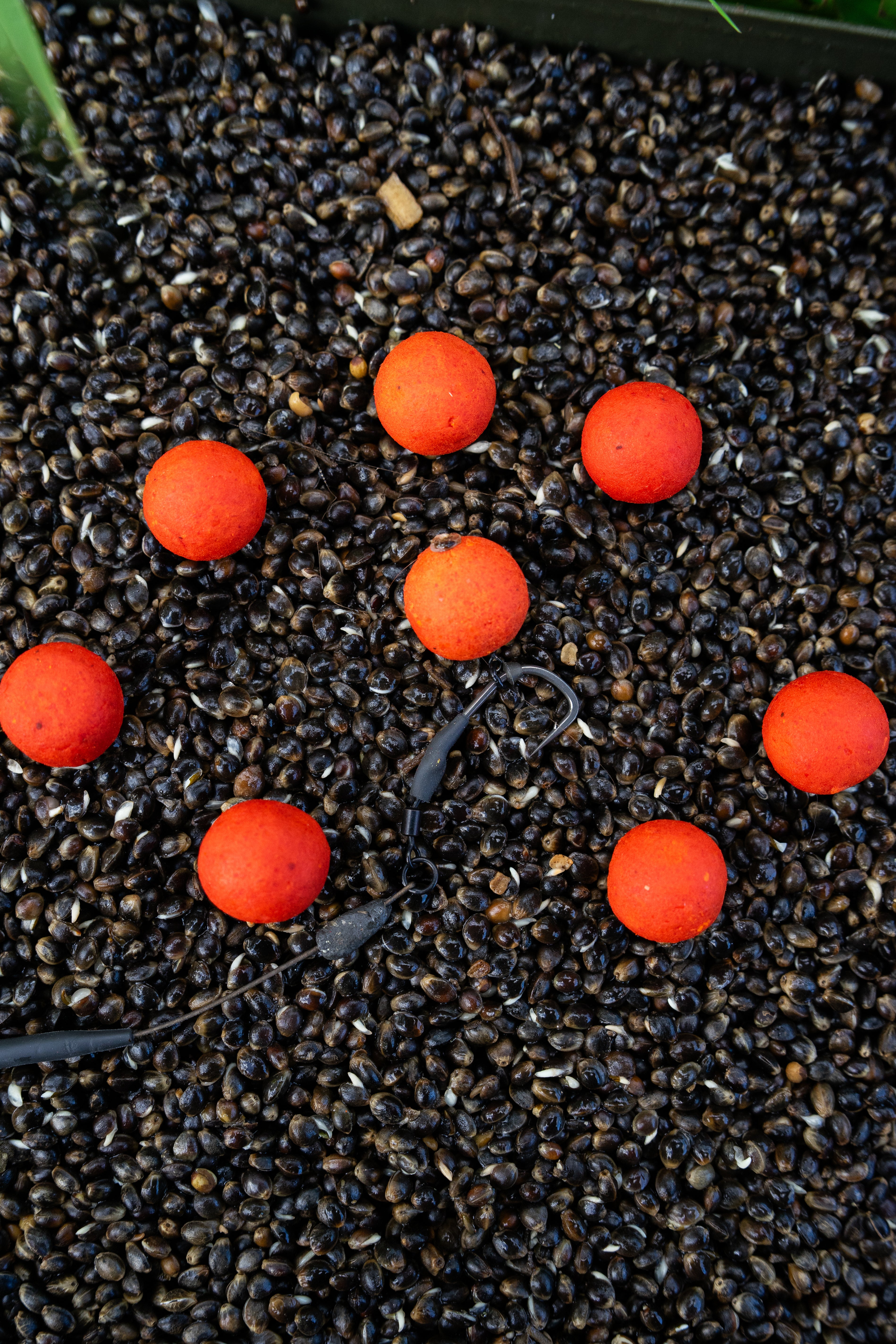 Orange Fish Pop Ups