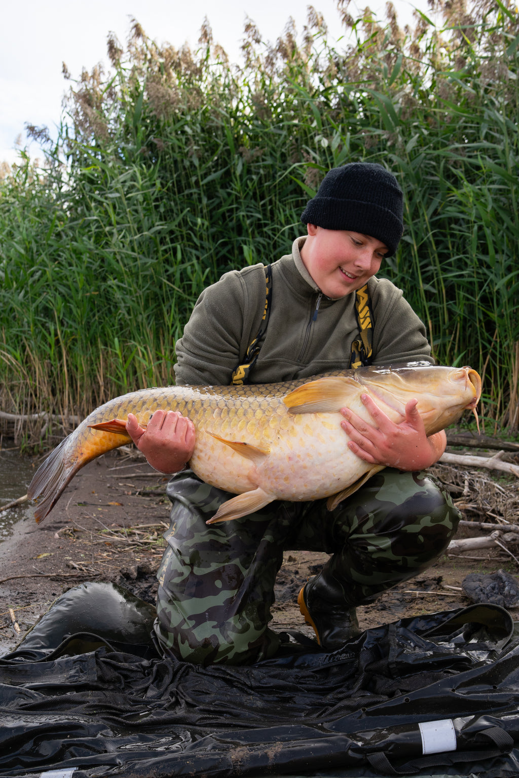 Orange Fish Pop Ups