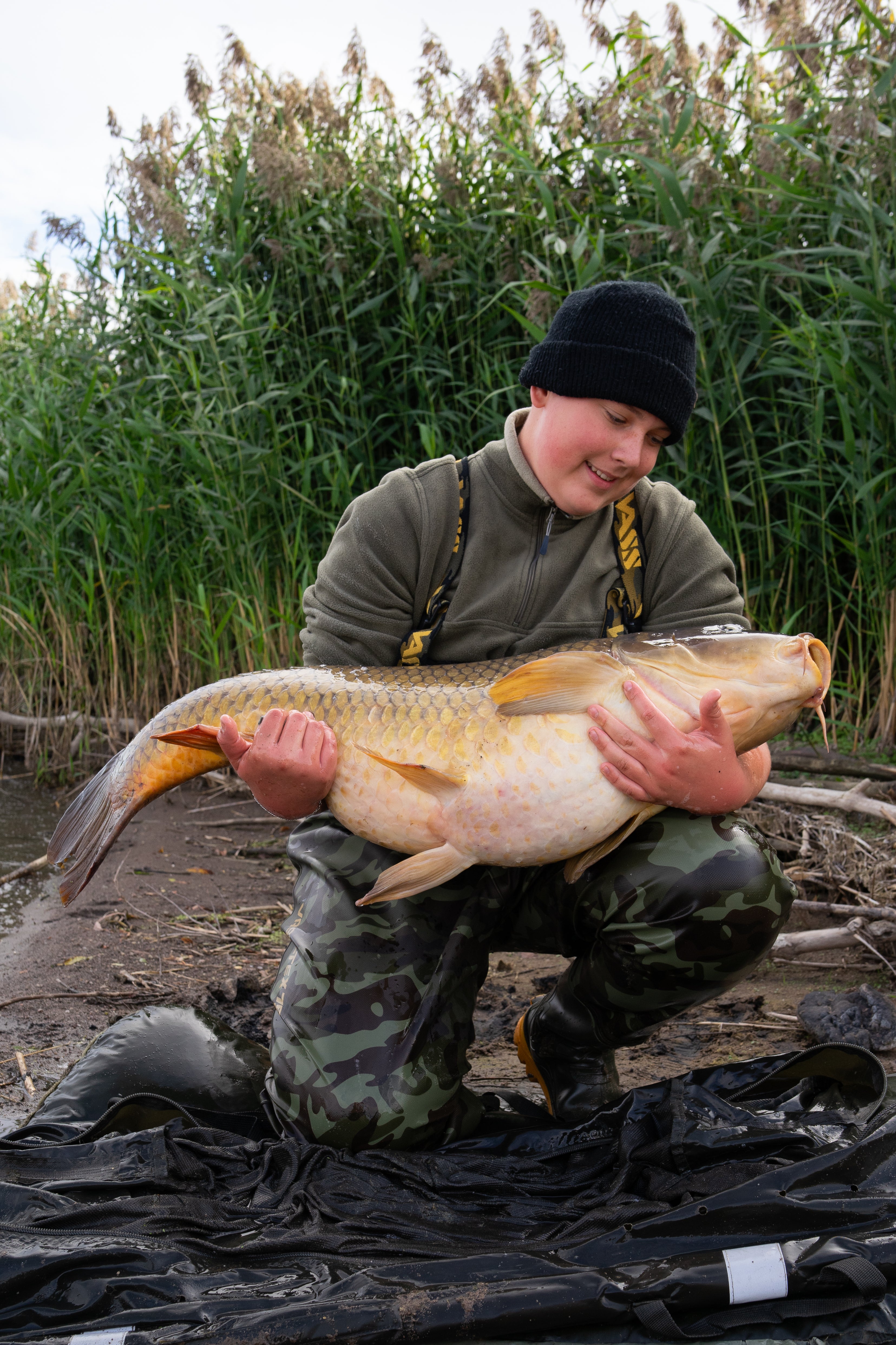 Orange Fish Pop Ups